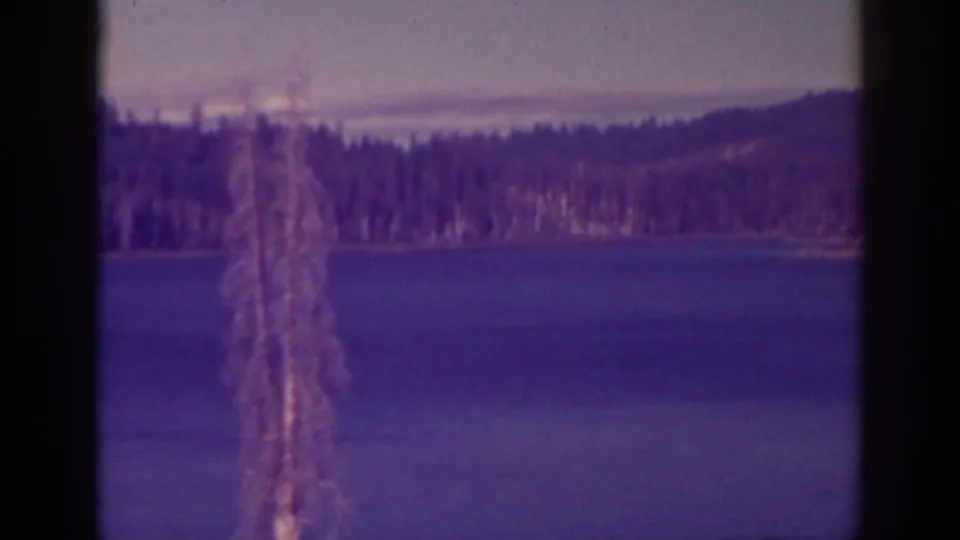 The Bucks Lake view continues with a tree trunk in the foreground, still water, and dense evergreen trees across the shore.