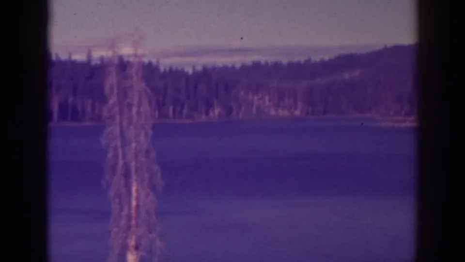 A late frame shows Bucks Lake in blue-purple color, with a tall tree trunk, distant evergreens, and low hills beyond the water.