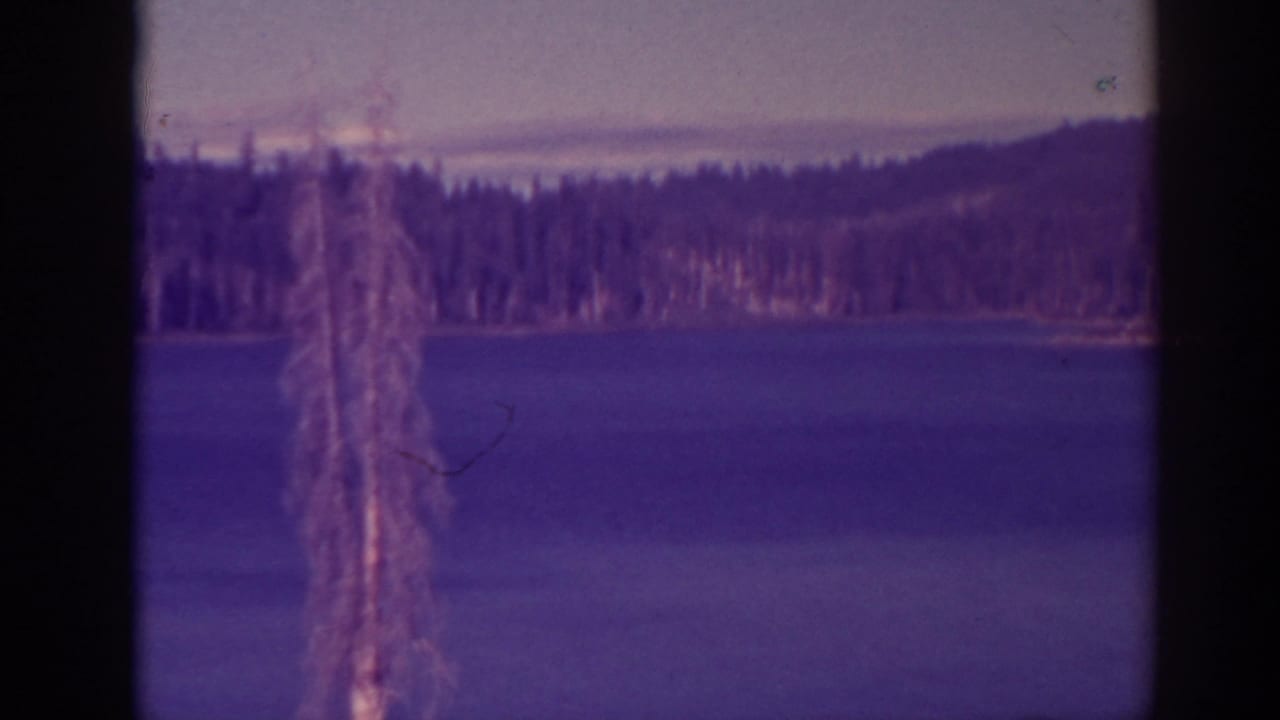 Calm lake with wooded shoreline and dark film gate edges.