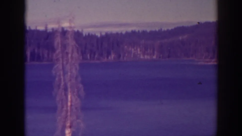 Bucks Lake shoreline seen in 8mm color, with smooth water, dense trees, distant hillside, and a soft purple cast.