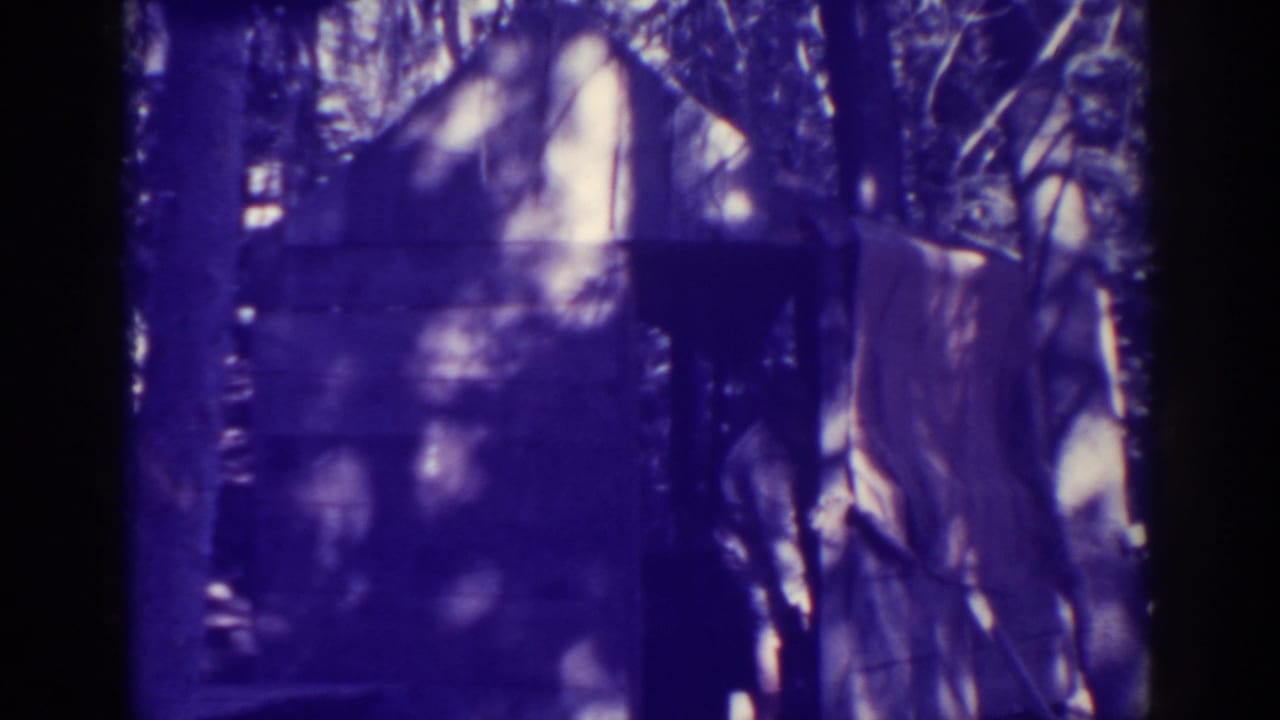 Purple-tinted view of a small wooden shed among trees.