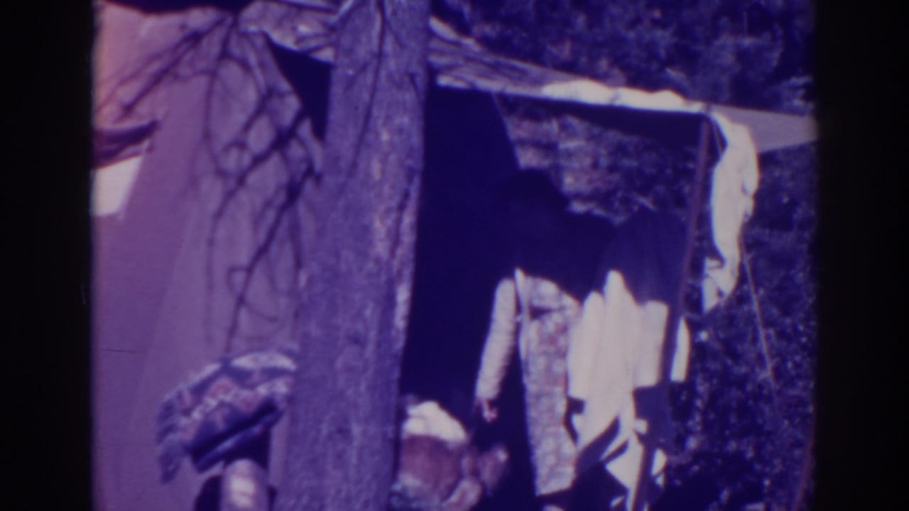 Canvas tent and tree at a wooded campsite with a seated figure partly visible.