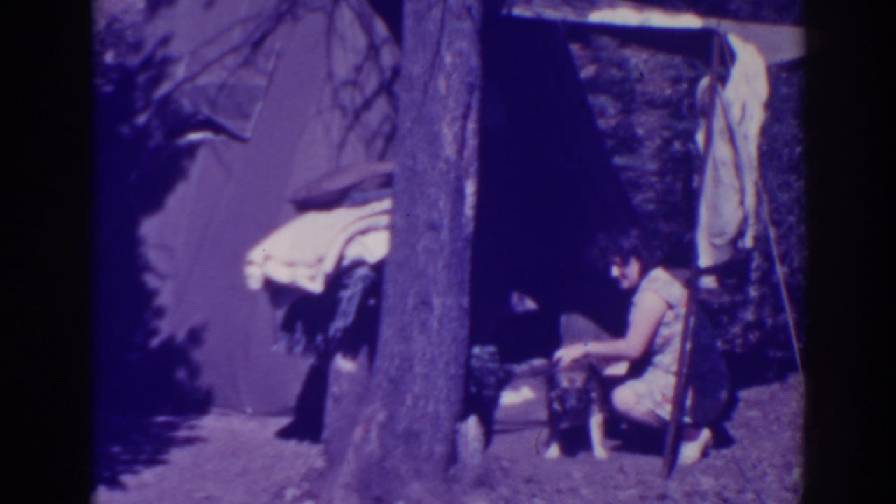 Woman crouches beside a dog at a campsite under a tarp-like shelter.