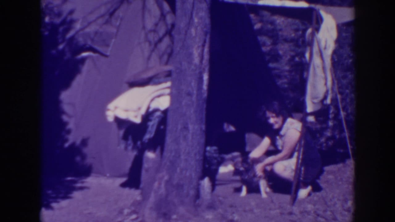 Woman reaches toward a dog beside a tree and campsite shelter.