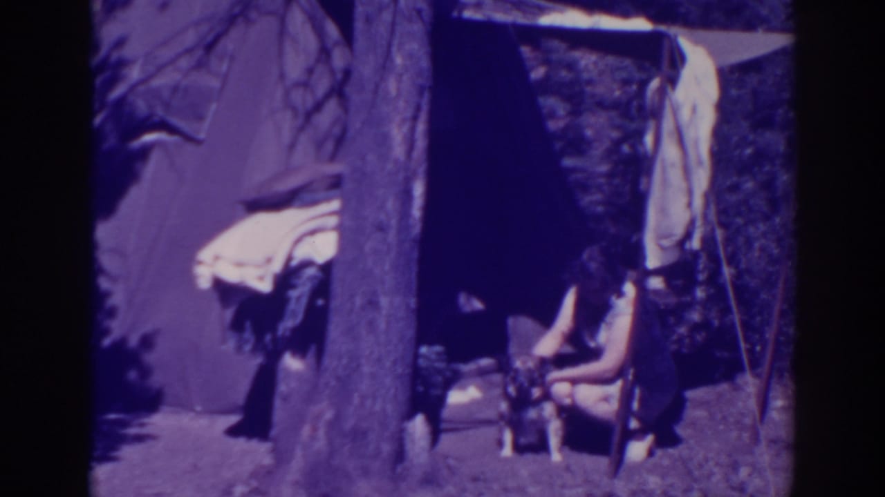 Woman sits or crouches near a small dog in front of a tent, partly framed by a tree.