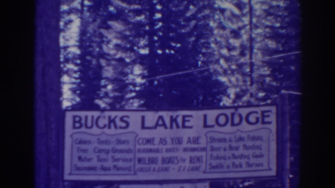Bucks Lake Lodge sign among pine trees.