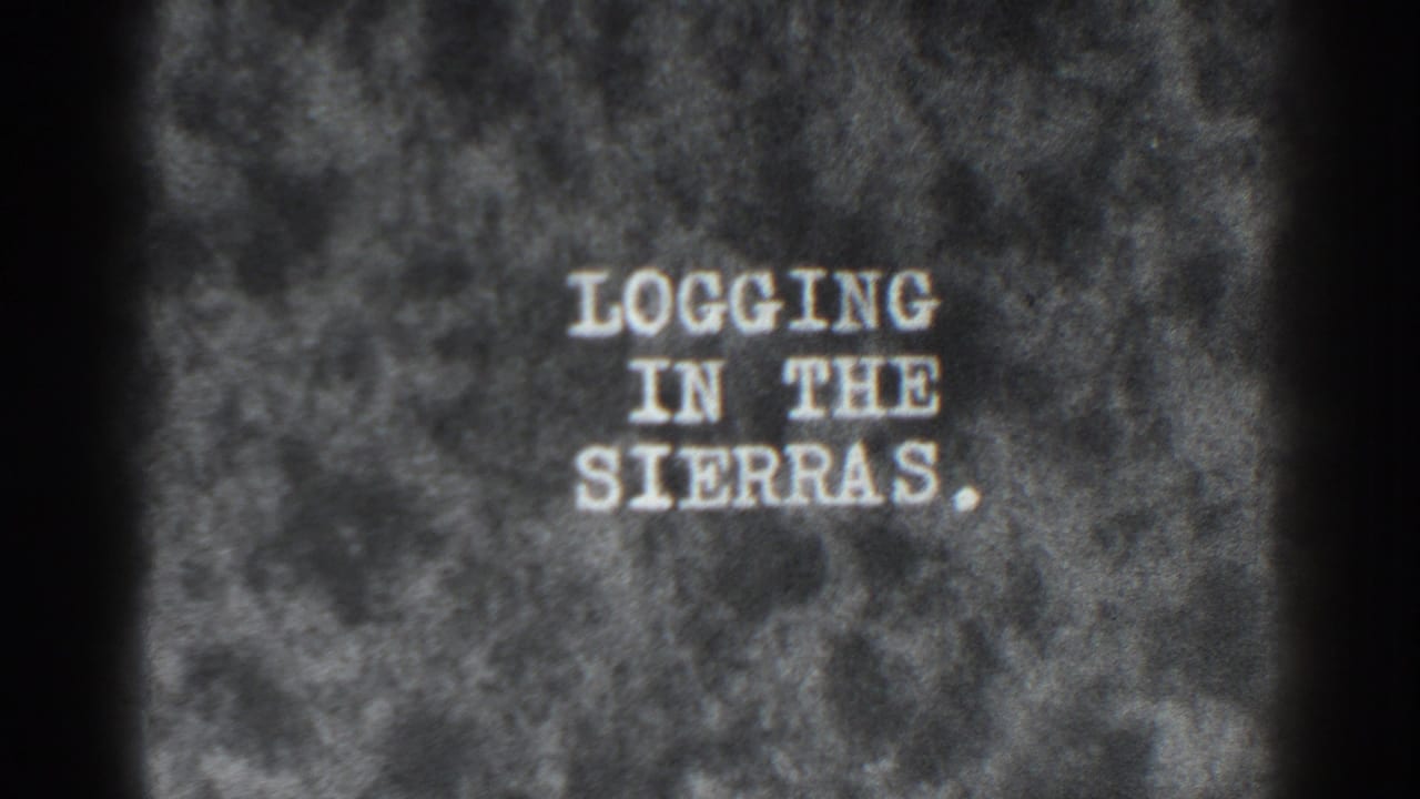 Intertitle reading “Logging in the Sierras” on a grainy film frame.
