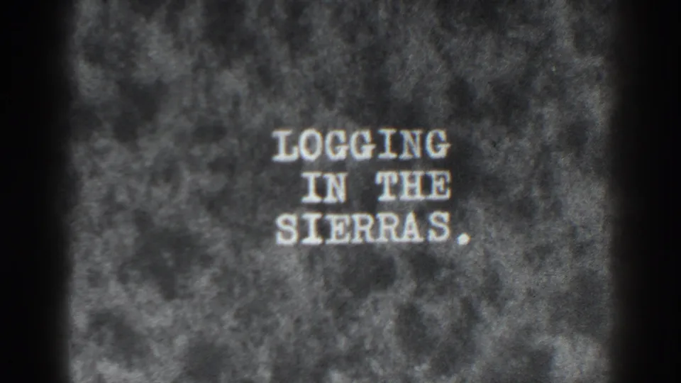 1930s 8mm intertitle reading “Logging in the Sierras,” preceding Bucks Lake logging footage.