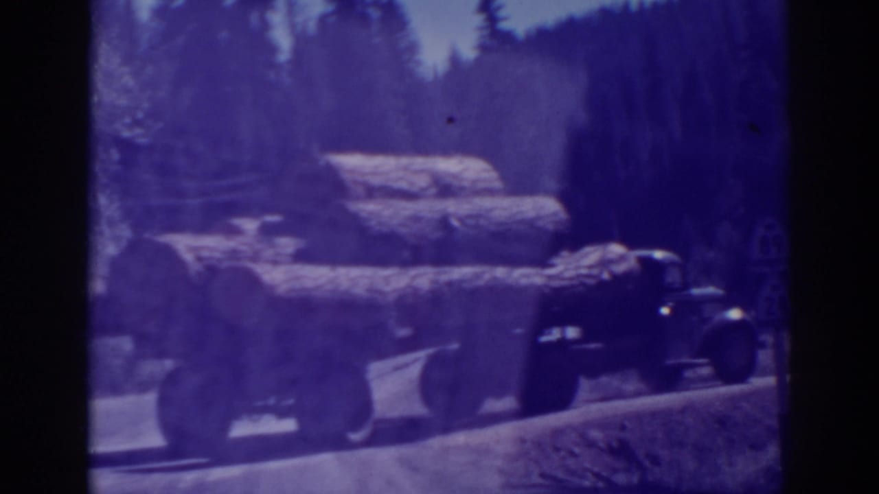 Loaded log truck travels on a forest road in the Bucks Lake, California sequence, with trees and hillside behind it.