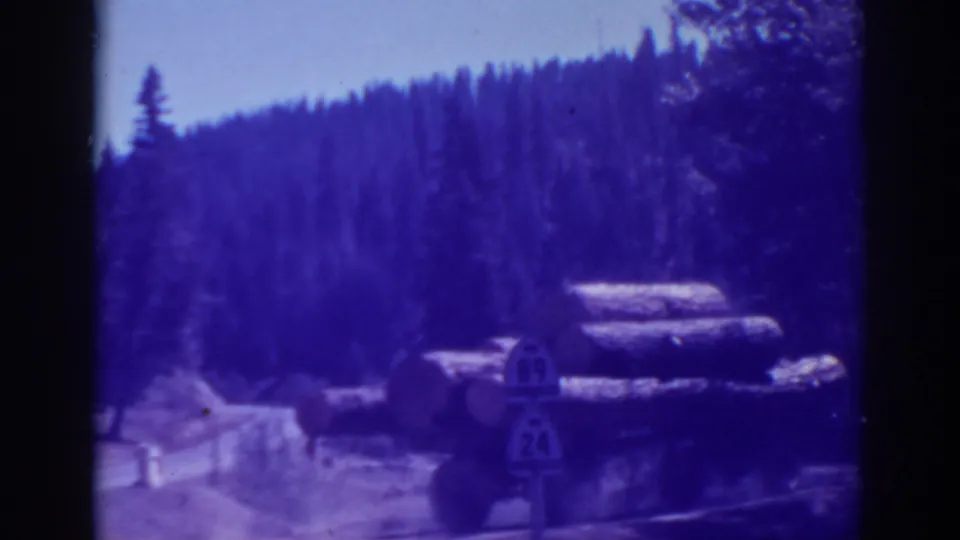 The log truck passes a roadside marker on a forested Bucks Lake road, with timbered hills visible in the background.