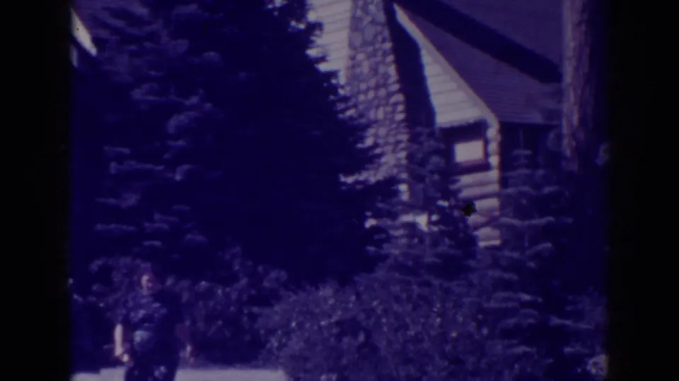 1938 home-movie frame of a rustic mountain cabin exterior among dense pine trees, with a stone chimney and purple film shift.