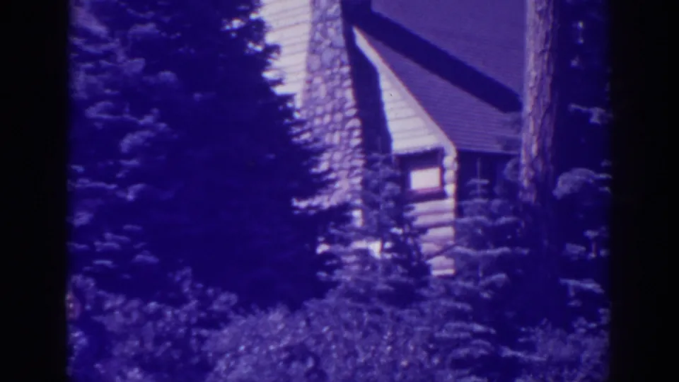 Final 1938 8mm frame of the mountain cabin exterior, framed by tall trees and brush with pronounced aged-film color shift.