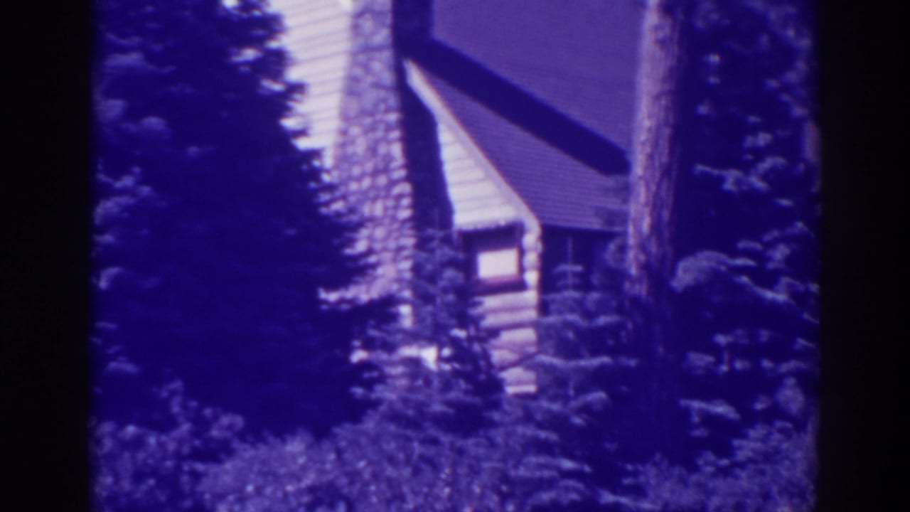 Log cabin with a stone chimney partly hidden by pine trees and brush.