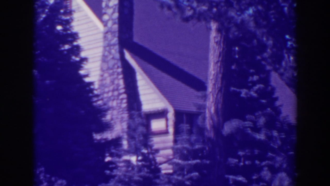 Wooded cabin side with stone chimney, sloped roof, pine trees, and blue-tinted film color.