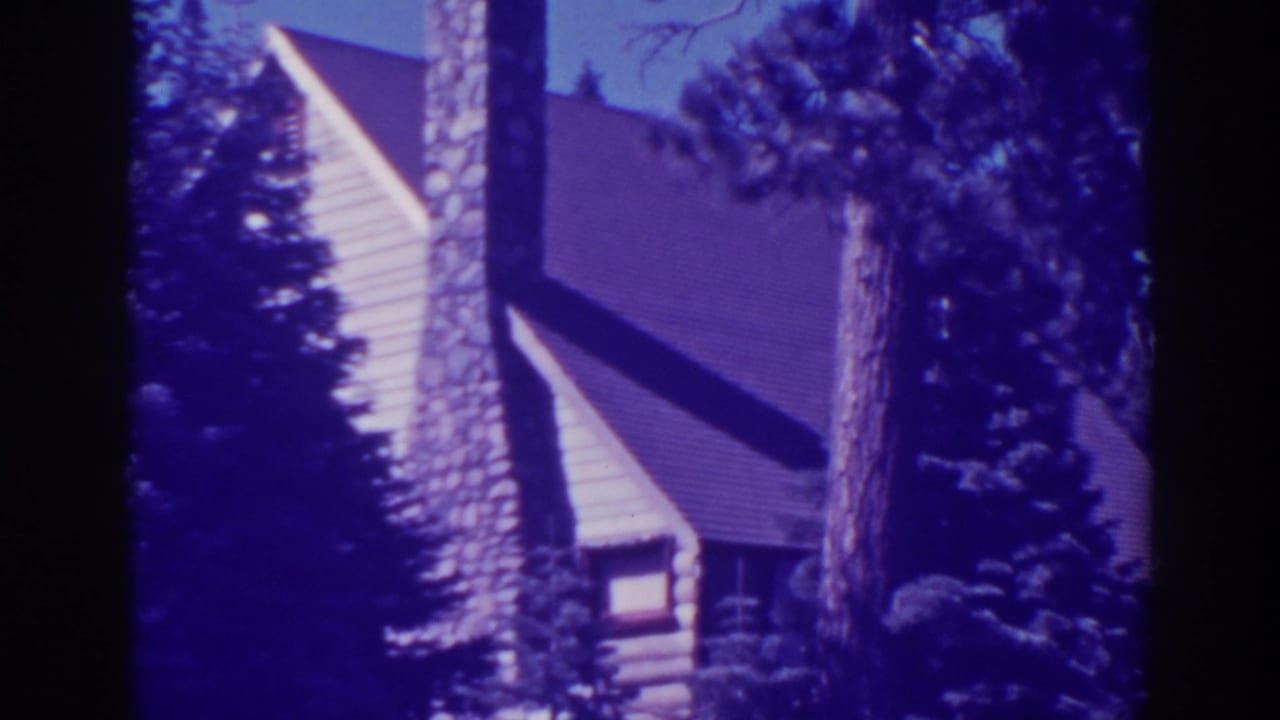 Cabin roof and chimney seen through trees with purple-blue 8mm color shift.