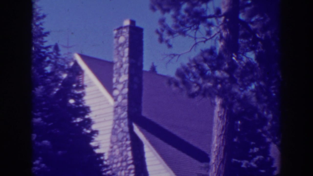 Rustic cabin roof and tall stone-and-brick chimney among pine trees.