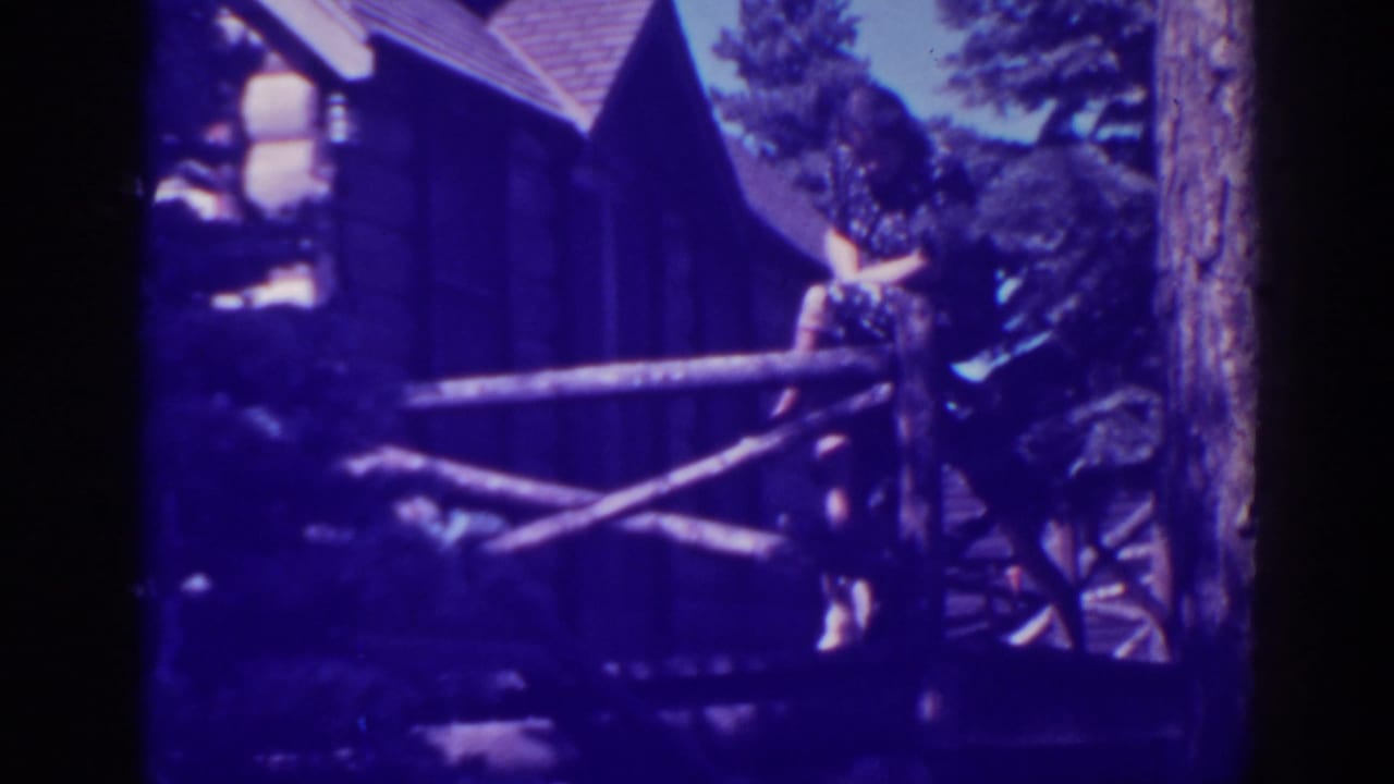 Rustic Bucks Lake cabin porch with log-style railing, wagon wheel detail, pine trunk, and a woman partly visible in the frame.