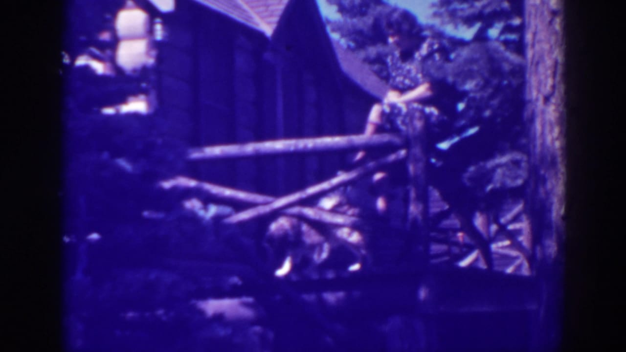 Woman on a wooden porch railing with a dog below near a rustic cabin.