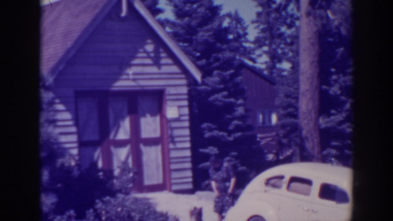 Small cabin with a front door, evergreen trees, and the rear of a white vintage car.
