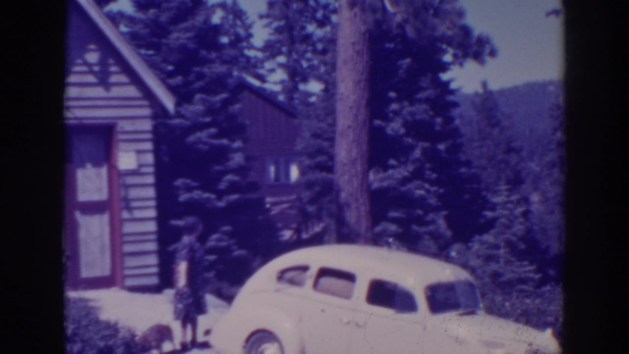 Woman and small dog stand near a pale car outside a cabin, with trees and hillside behind them.