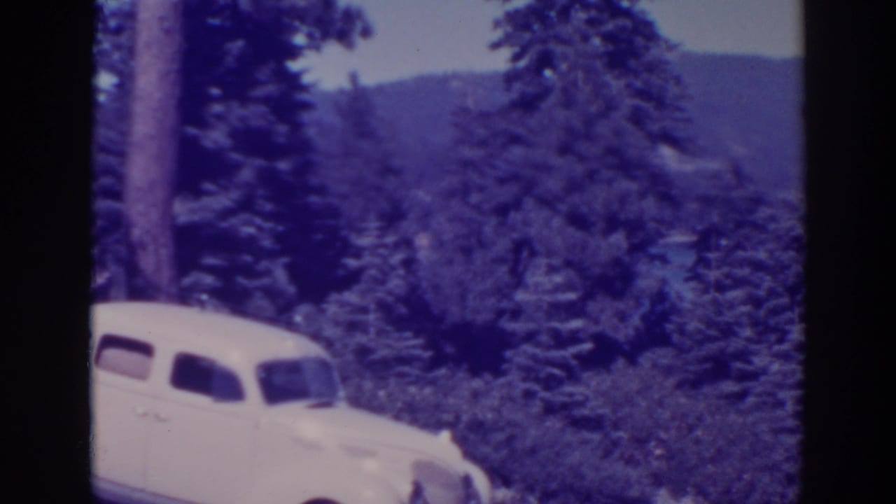 White vintage sedan parked beside pine trees with distant hills beyond.