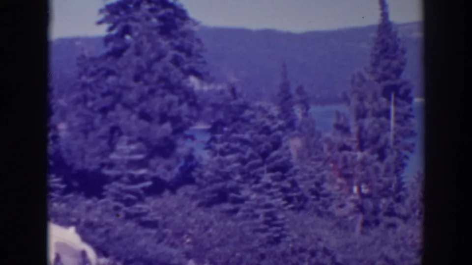 A lakeside pine forest at Bucks Lake, with a small cropped portion of the white vintage car in the foreground.