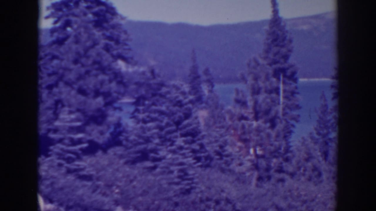 Pine trees and brush overlooking a blue lake with wooded hills beyond.