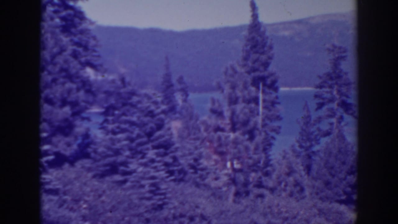 Tall pines stand before a lake and dark wooded hillside.