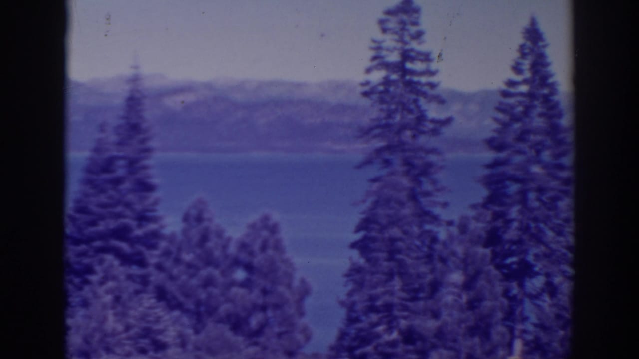 Bucks Lake appears beyond foreground pines and a dark vertical film or tree edge in this 1938 8mm frame.