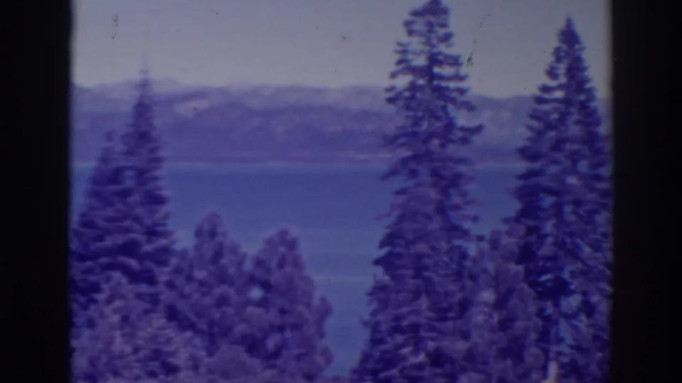 Bucks Lake appears beyond foreground pines and a dark vertical film or tree edge in this 1938 8mm frame.