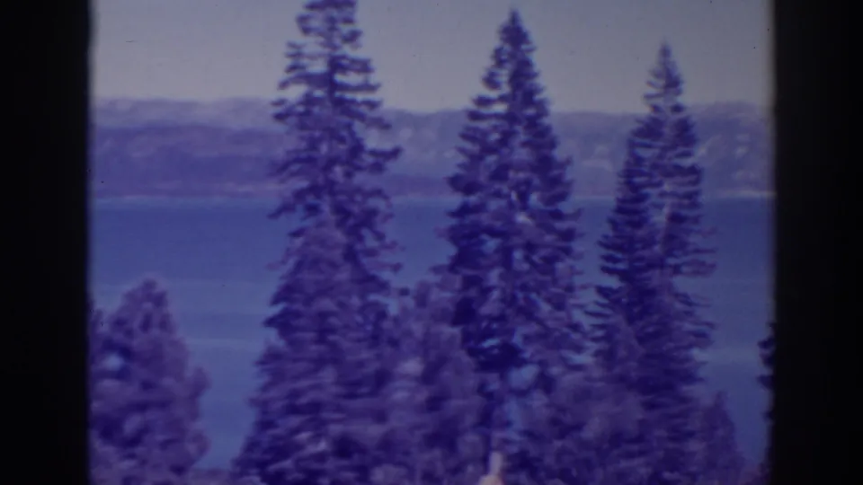 Tall conifers dominate the foreground while Bucks Lake and a muted mountain ridge remain visible behind them.