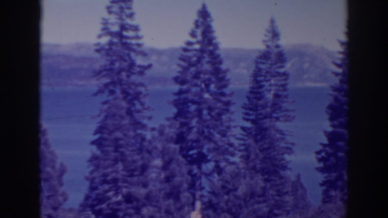 Pine trees frame a blue lake with distant hills under a soft sky.