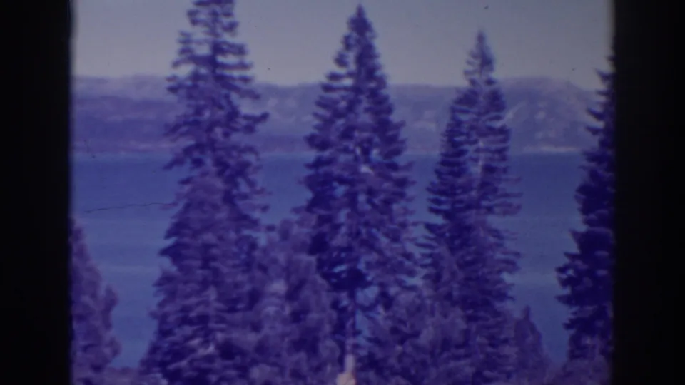 1938 8mm view of Bucks Lake, California, seen through tall pine trees with wooded hills across the water.