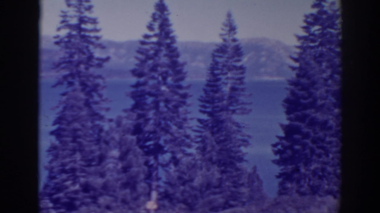 Evergreen trunks and branches overlook a lake and hazy mountain ridge.