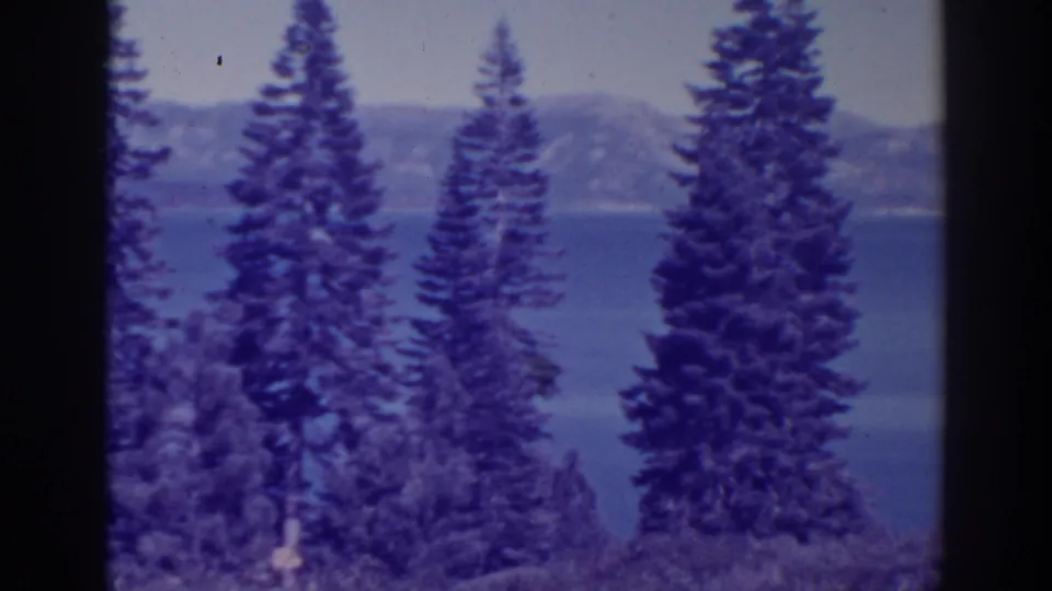 1938 Bucks Lake landscape with foreground pines, blue water, and softly focused wooded hills across the lake.