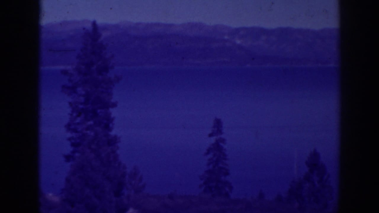 Pine trees frame a blue lake with distant mountains under a pale sky.