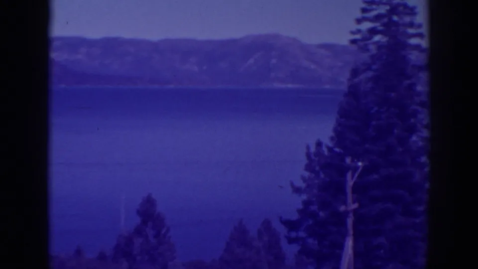 Bucks Lake, California, framed by a tall pine and foreground trunks, with a mountain ridge across the water.