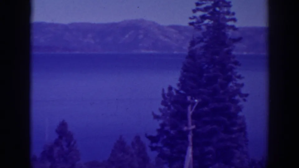 A central pine rises in front of Bucks Lake, with saturated blue water and mountains softened by the 8mm scan.