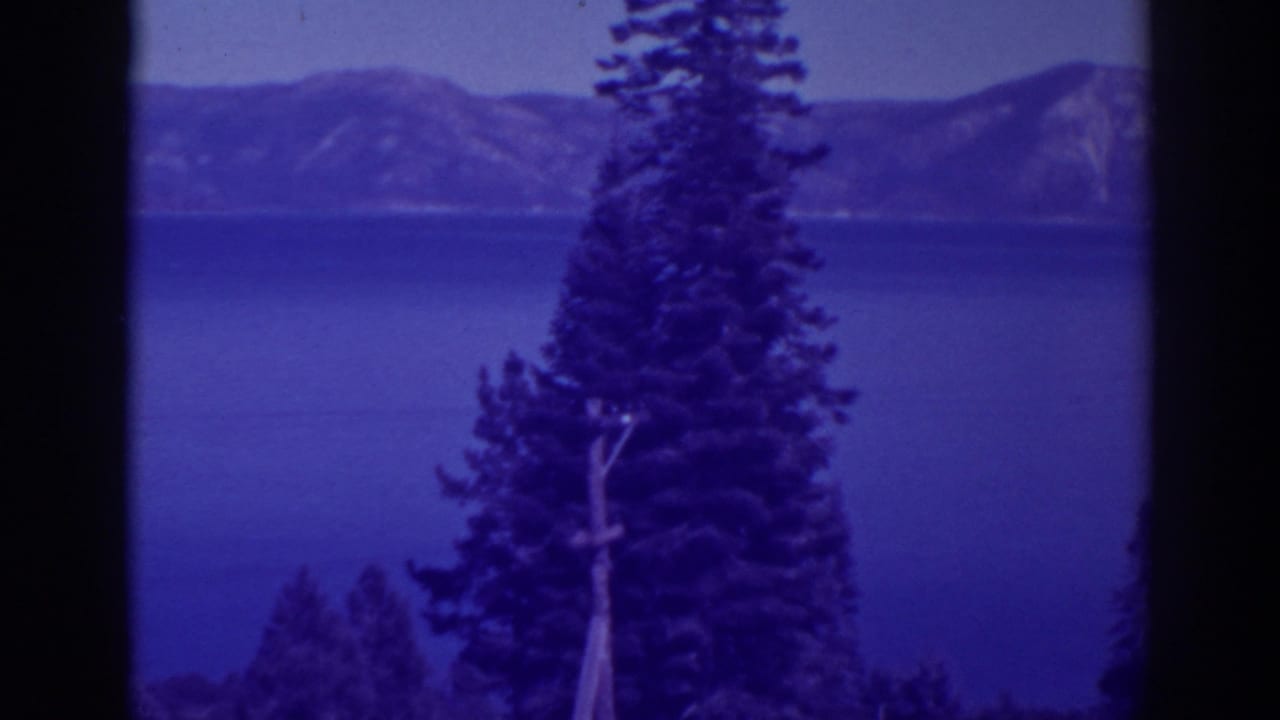 Pine tree foreground with blue lake water and distant mountain ridge.