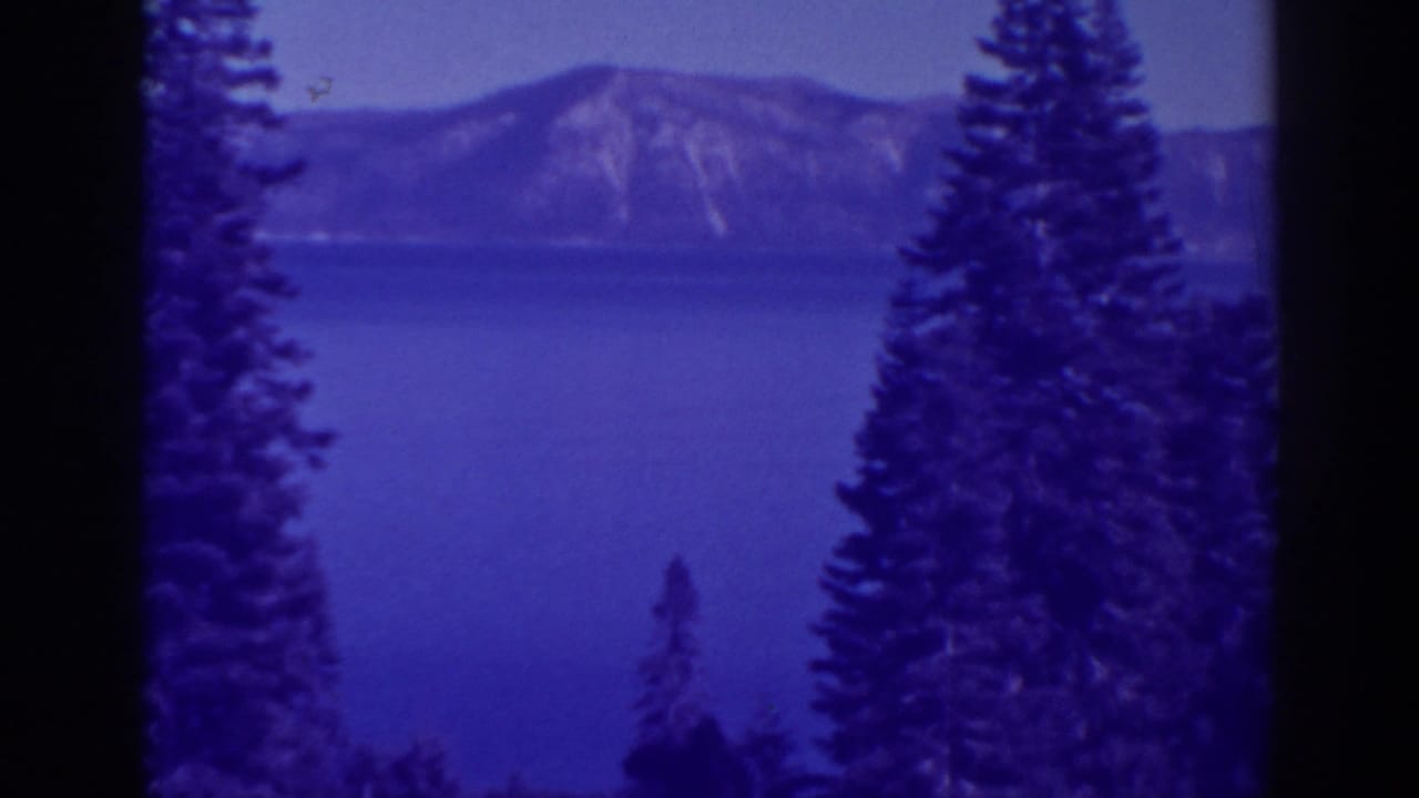 Lake and distant mountains seen between tall pine trees in a blue-tinted film frame.