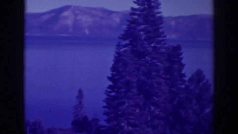 A foreground pine dominates this 1938 Bucks Lake frame, with blue lake water and a distant Sierra Nevada ridge behind it.