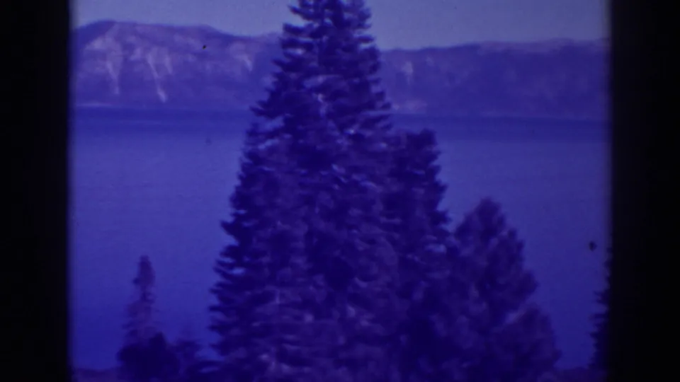 Bucks Lake landscape with a large evergreen in the foreground, blue-tinted water, and a mountain ridge visible across the lake.