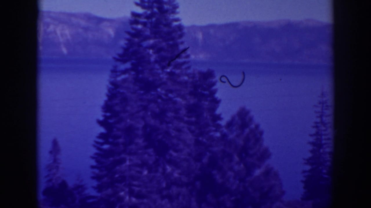 Pine treetops frame a blue lake with distant mountains and dark film edges.