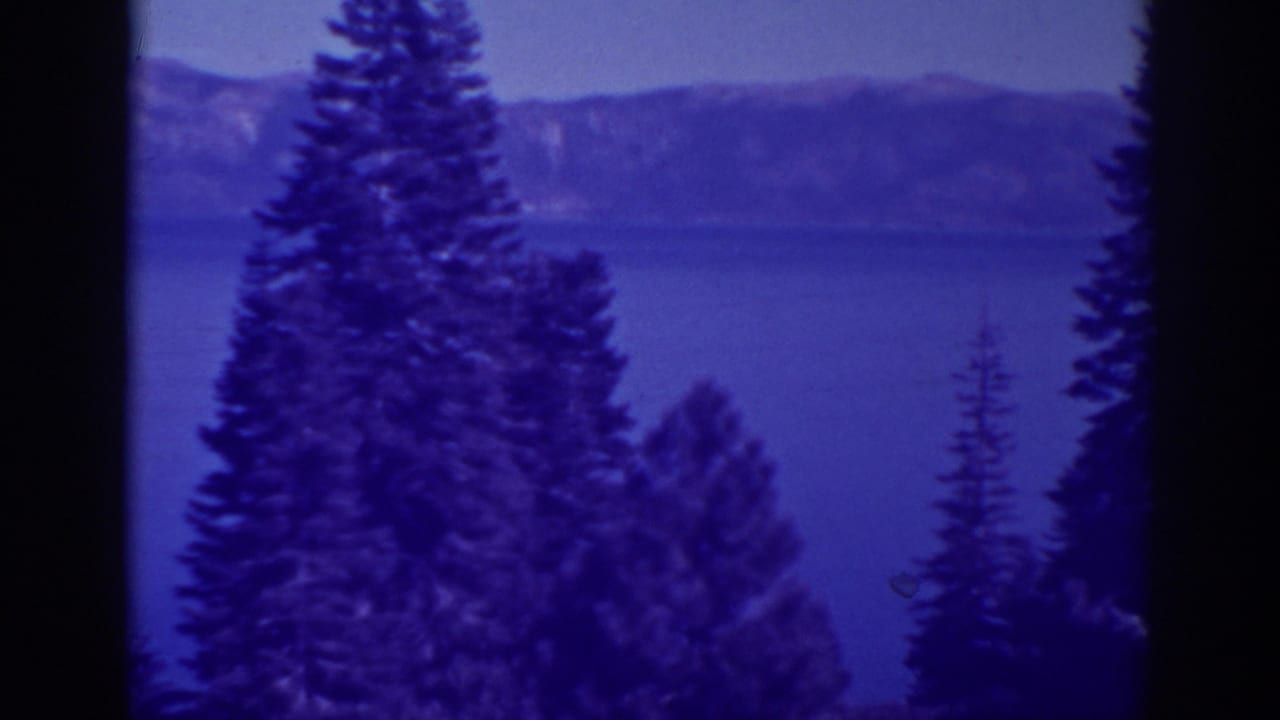 Tall pine silhouettes stand before a blue lake and distant mountain ridge.