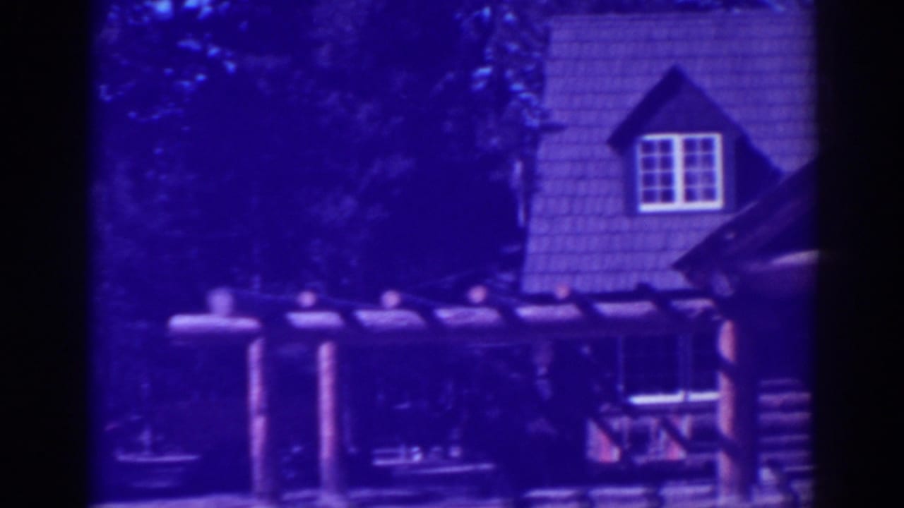 Cabin dormer and porch beside dark trees.