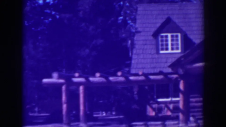 El Dorado City cabin exterior with a dormer window, porch supports, and dense trees in blue-purple 8mm color.