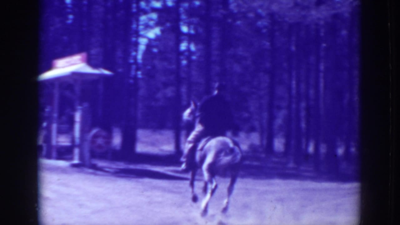 Mounted rider moves away along a dirt road beside trees and a small roadside structure.