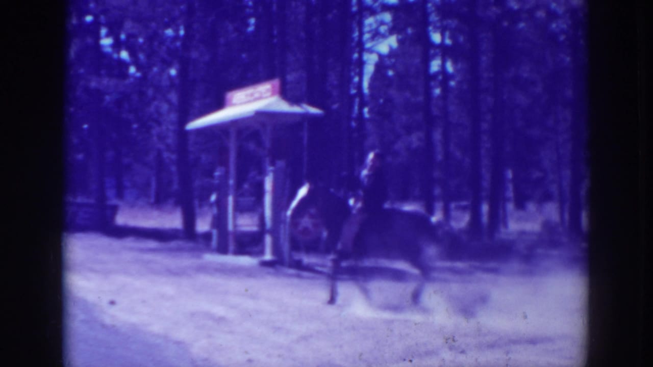 Horse and rider pass a small roadside structure with trees in the background.