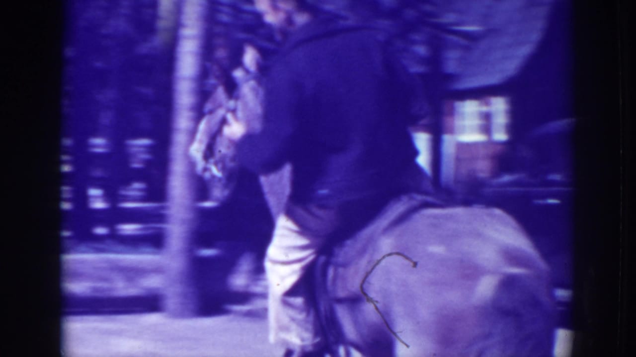 Horse and rider pass near trees with a building visible behind them.