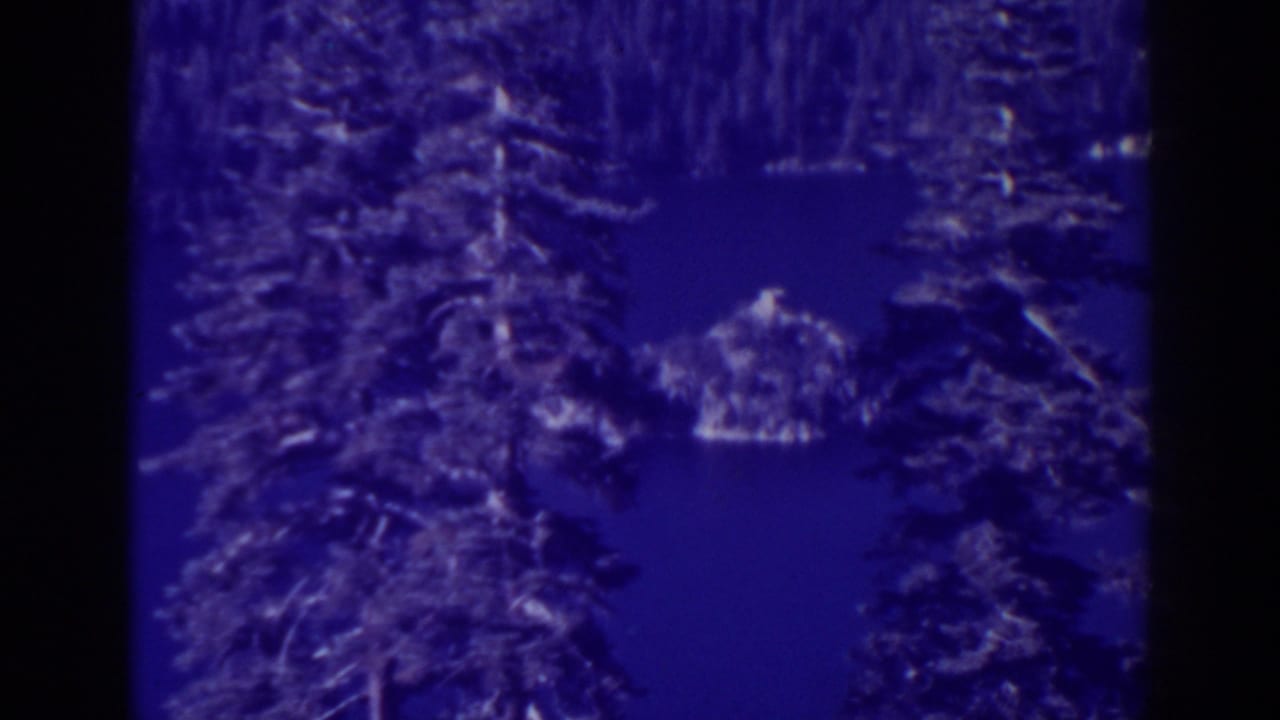 Emerald Bay, California, seen through dark pine branches with blue lake water and a small rocky island or outcrop near center.